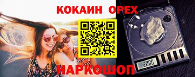 шишки Новодвинск