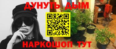 шишки Новодвинск