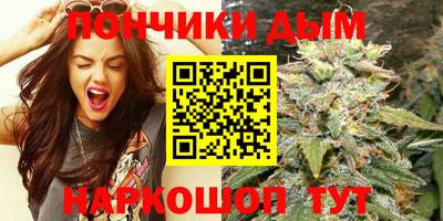 шишки Новодвинск