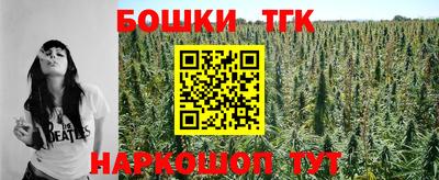 шишки Новодвинск