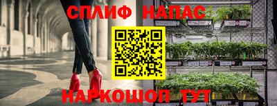 кокаин колумбия Новозыбков
