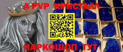 шишки Новодвинск
