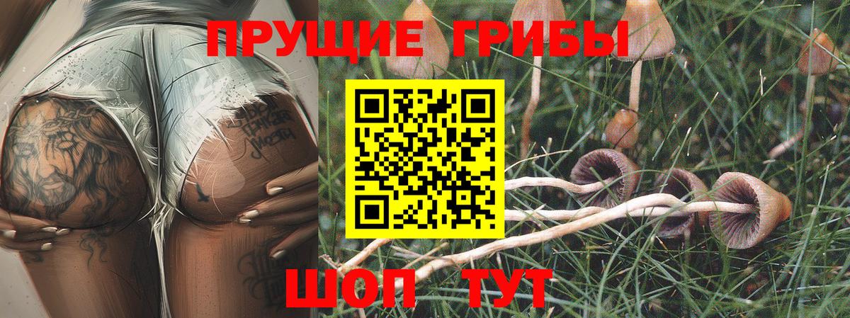 Псилоцибиновые грибы GOLDEN TEACHER Ступино